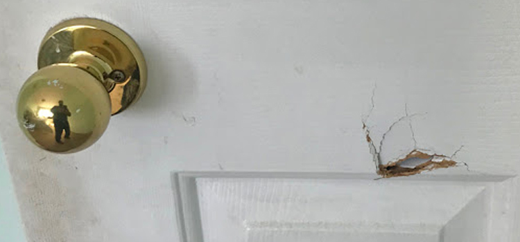 interior door hole repair Artesia