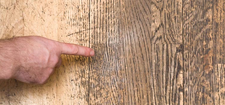 Wood Door Scratch Repair in Artesia